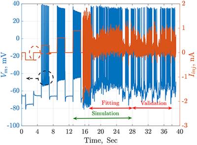 Parameter Estimation of Two Spiking Neuron Models With Meta-Heuristic Optimization Algorithms